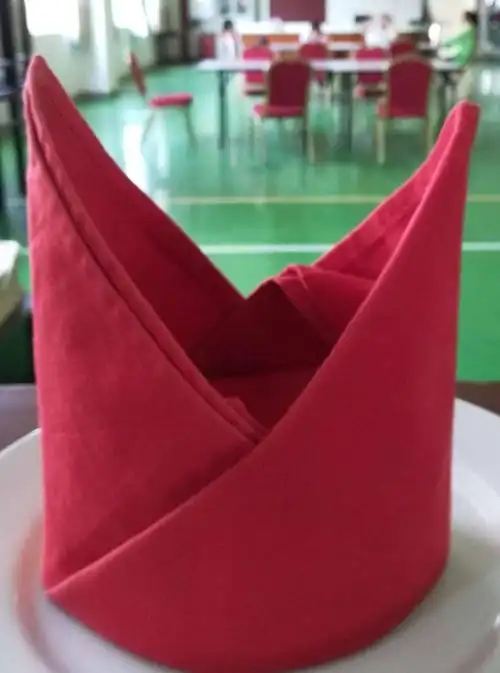 海南省工业学校酒管专业必会餐巾花