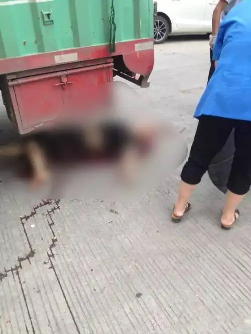 闽清学林天下发生一起车祸,太吓人了!大家千万注意安全!