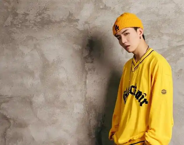 抖音吴岱林个人资料简介一直戴帽子被称封印男孩走红原因相关作品