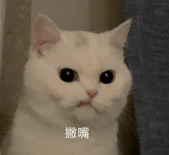 720_663gif 动态图 动图