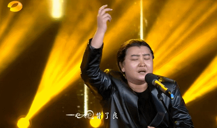 刘欢|贾玲|沈梦辰|沈凌|谢娜|大张伟_网易订阅