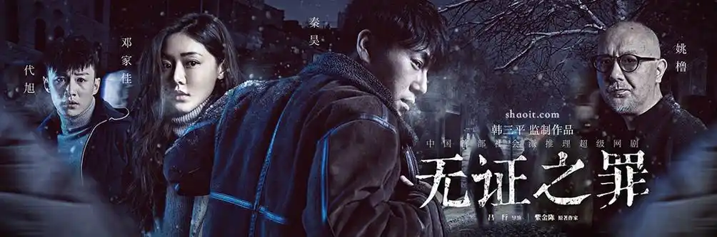 电视剧《无证之罪》12集全