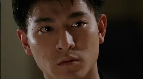 恨我真情难收怨你真心难求任随命运来捉弄——刘德华《真情难收》