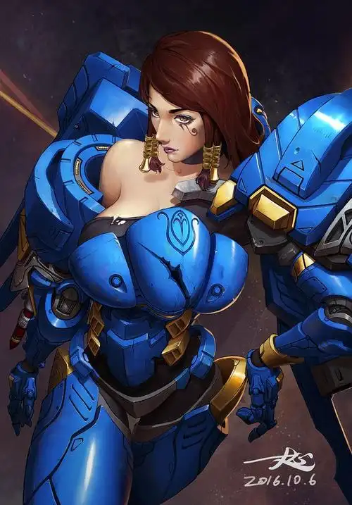 守望先锋法鸡同人