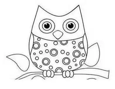 树和猫头鹰的简笔画