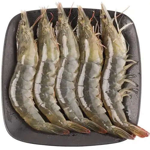大虾鲜活超大青岛特大对虾海鲜水产冷冻白虾基冻虾