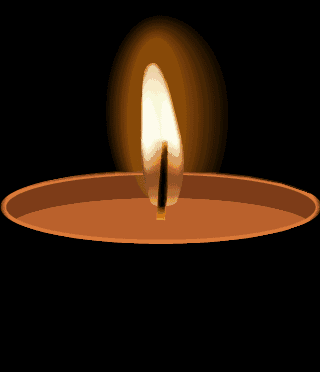 320_372gif 动态图 动图