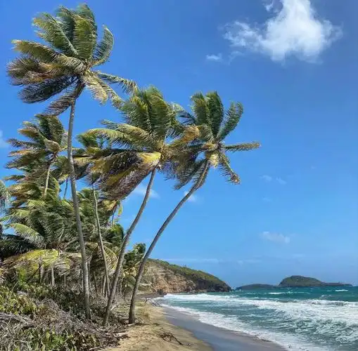 适合做朋友圈背景的风景图60