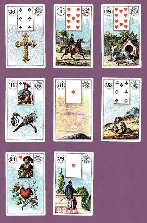 时一娜娜第五次雷诺曼作业