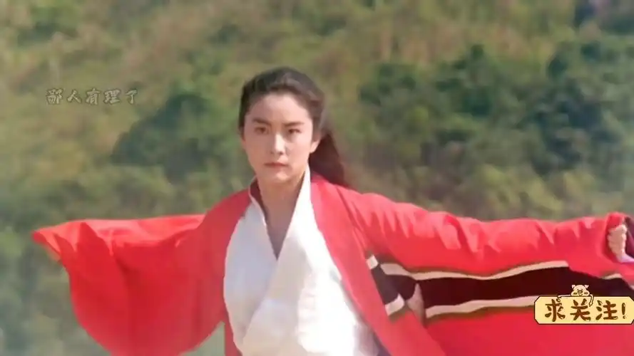 武打明星 #李连杰 #林青霞