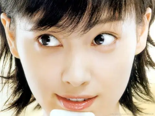 李娜英壁纸桌面图片-1024x768.178k.高清大图-明星写真馆n63.com