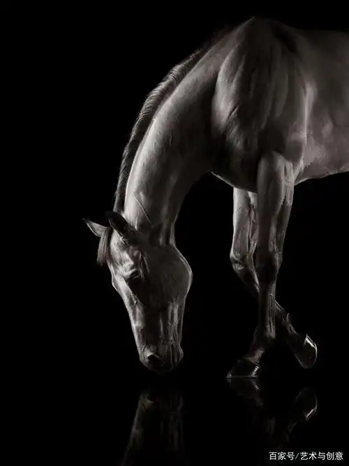 你见过这样拍马的摄影作品吗?跟英国摄影师学学拍马