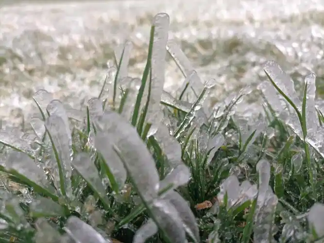 零下几度,却已结冰不见雪!