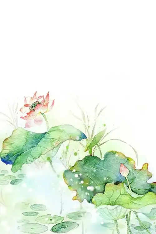 古风风景素材唯有绿荷红菡萏