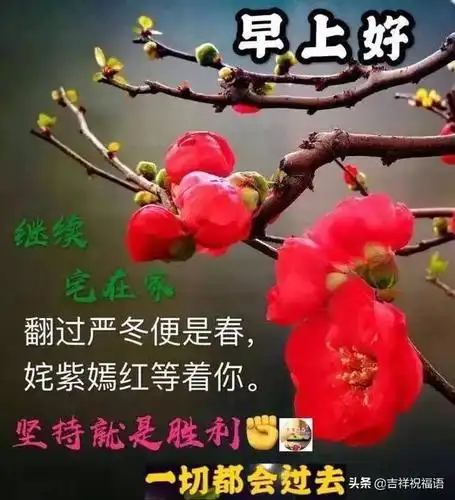 早上好问候语表情漂亮图片大全