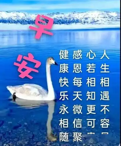 8张有创意的亲人朋友早上好免打字图片带祝福语温馨的春天大家早上好