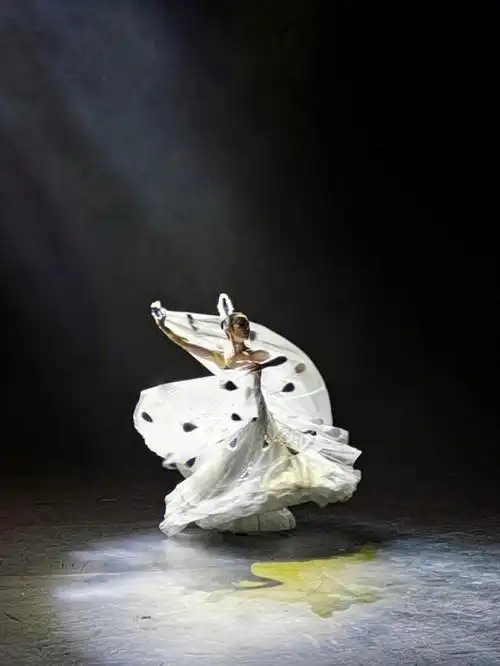 杨丽萍孔雀舞后又被骂,隐瞒忽悠员工,带货赚钱黑心还拖欠工资