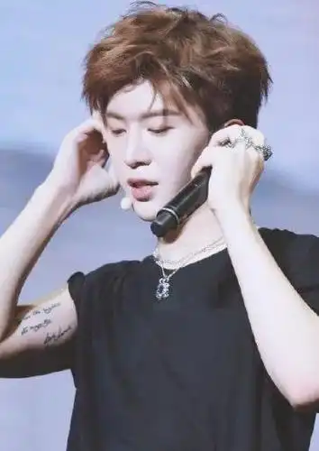 范丞丞是一位年轻的流行歌手和演员,同时也是一个真正钟爱纹身的人.