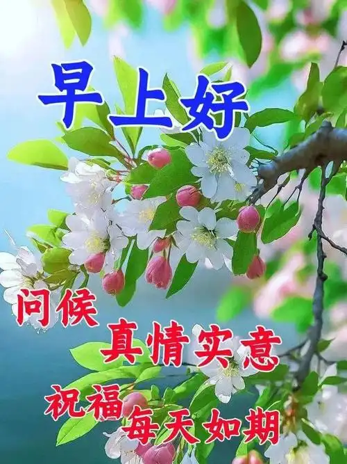 4月13日周四早上好最新温馨唯美祝福图片