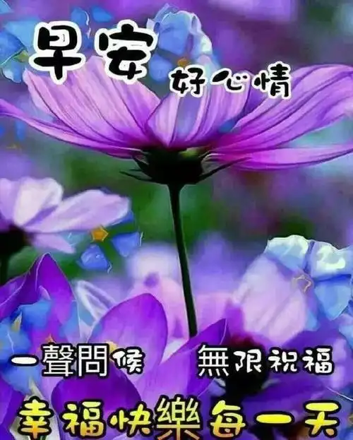 9月17日周五最新早上好鲜花唯美动态祝福图片新版微信早安问候语精选