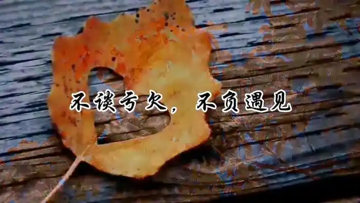 不谈亏欠,不负遇见