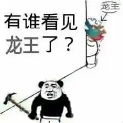 有没有龙王表情包?