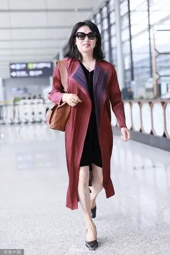 组图:金星现身机场打扮端庄优雅 踩高跟鞋裙摆飞扬气场足