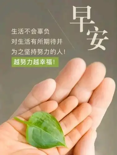 早安|朋友圈正能量文案句子,温柔上进,寓意深刻,温暖人生!