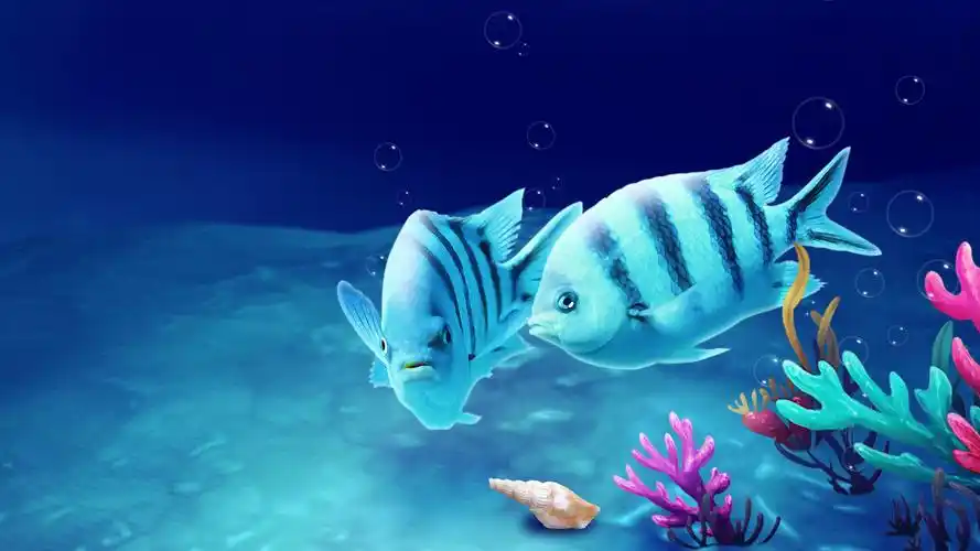 海底世界美景桌面背景高清大图预览1600x900_风景壁纸下载_墨鱼部落格