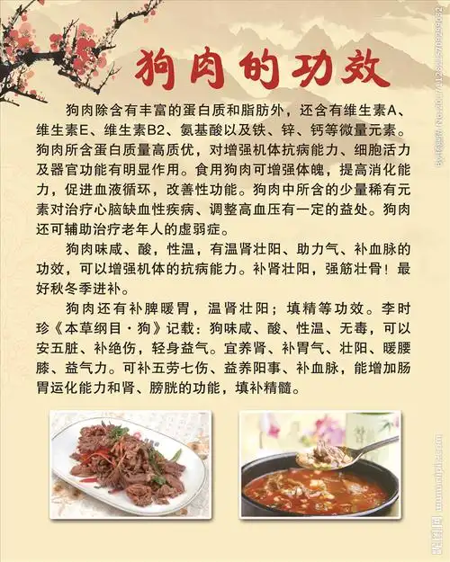 狗肉的功效图片