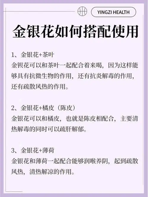 金银花的功效与作用75金银花的最佳搭配75