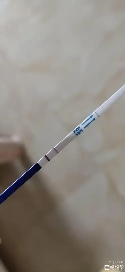 验孕棒怀孕几天能测出来 怀孕几天能测出来 验孕棒