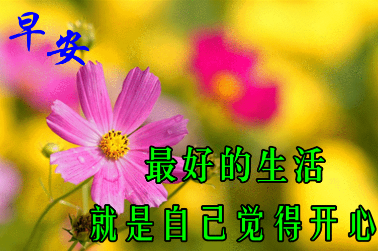 早上好动图美图大全__茶语花香_-为新搜