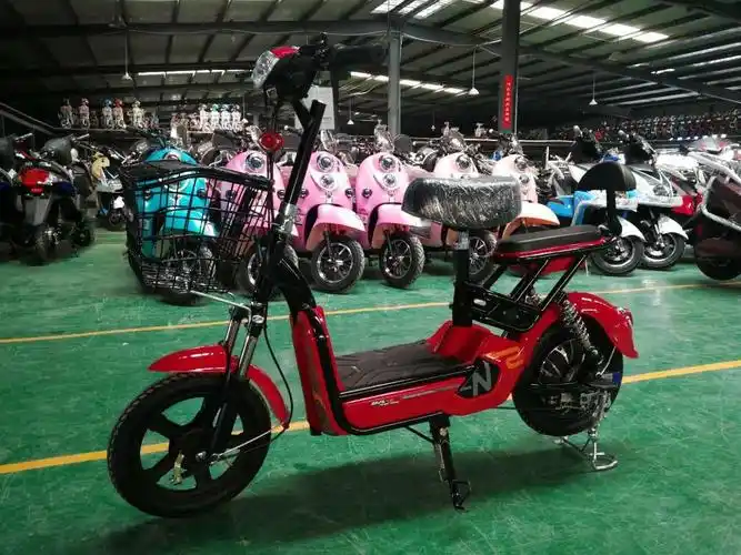 任性!周口浩泽·净水家送电动车,武林风门票哦