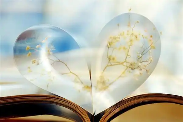 暖色系小清新静物唯美意境图片