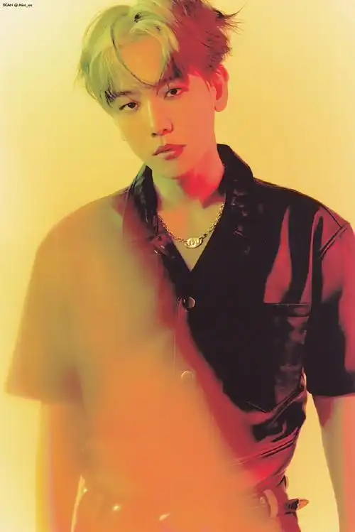 边伯贤#bbh bbx  240221【mint_ee_0】exist photobook x ver 专辑内