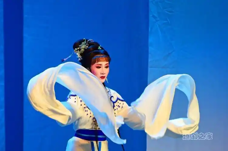 "多情公子"杨魏文和黄金搭档徐晓飞的四折情感戏