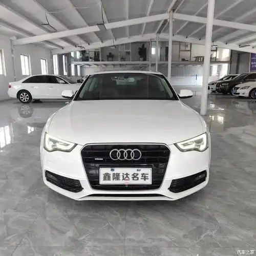 2013年进口奥迪a5