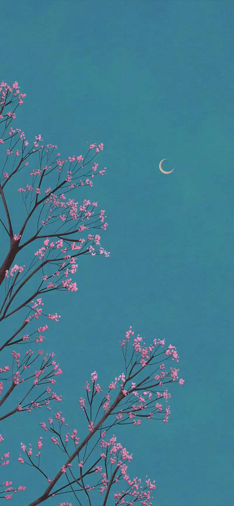 清静禅意手机壁纸