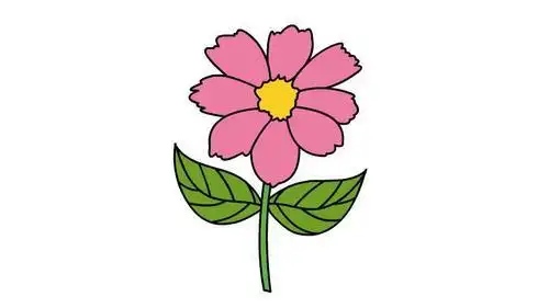 粉色菊花简笔画看过该简笔画的同学还看了:●秋天的菊花简笔画●粉色