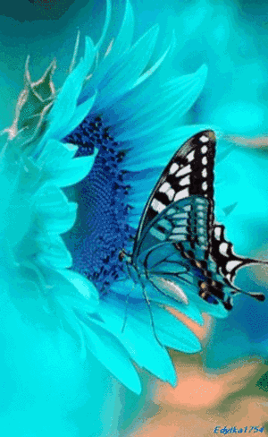 300_488竖版 竖屏gif 动态图 动图