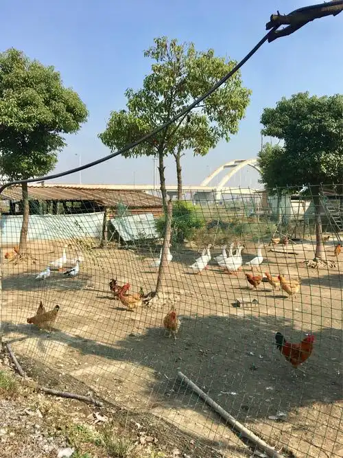 江阴市南闸鸿秀生态家庭农场一日游留念!