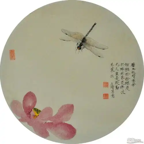 蜻蜓43x43cm