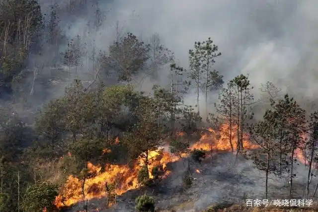 几张照片让你知道,生态环境恶化,人类对地球的破坏力有多强