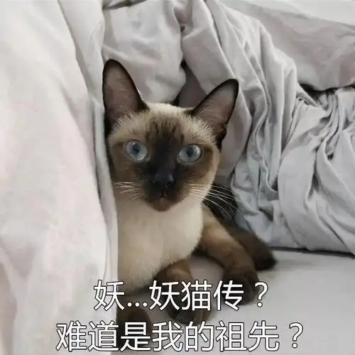 《妖猫传》玄妙开启,陈凯歌导演的胜算大吗?