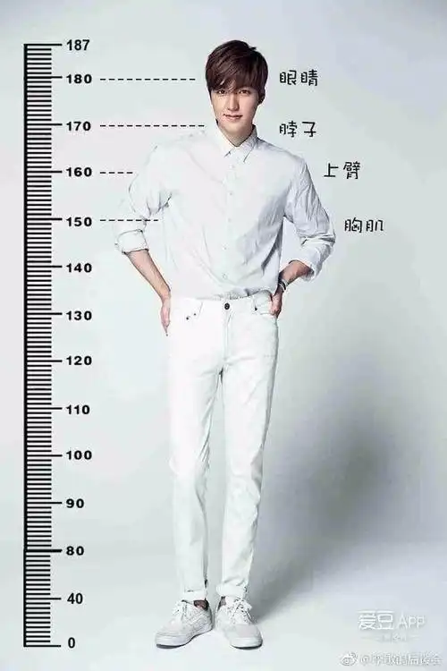 花样男子/流星花园f4的身高