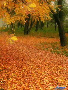 240_320竖版 竖屏gif 动态图 动图