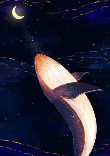 鲸鱼&星空