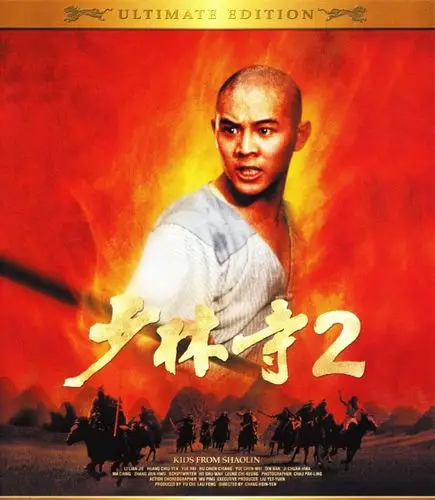 少林小子迅雷下载少林小子李连杰经典动作720pbd国语中字