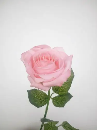 **保湿玫瑰仿真植物单枝玫瑰花家居装饰假花仿真花胶花绢